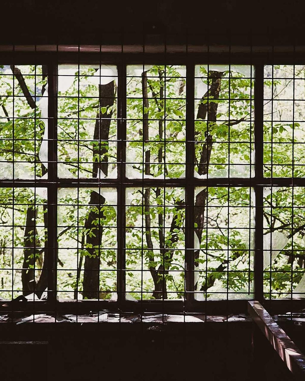 Strategic Tanzania Investment